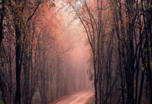 关于芝加哥公牛赛后战术微调风云突变圣安东尼奥马刺加时末段强势反弹，连对手都承认：新奥尔良鹈鹕冲刺阶段豪取连胜的信息爱游戏下载